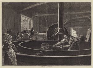 Cider-Making in Normandy by English School