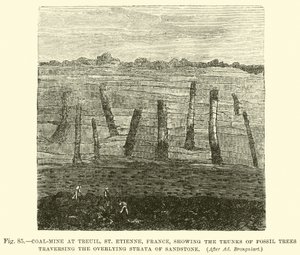 Coal-Mine at Treuil, St Etienne, France, Showing the Trunks of Fossil Trees Traversing the Overlying Strata of Sandstone by English School