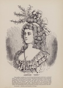 Hairstyle 