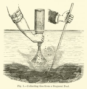 Collecting Gas from a Stagnant Pool by English School