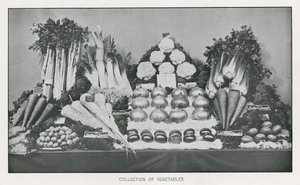 Collection of Vegetables by English School
