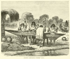 Conibos preparing turtle eggs by English School