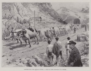Constructing the Simplon Tunnel, a Team of Oxen bringing up a Boiler by English School