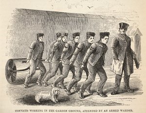 Convicts working in the garden ground, attended by an armed warder, illustration from The Criminal Prisons of London and Scenes from Prison Life by Henry Mayhew and John Binny, published 1862 by English School