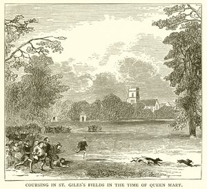 Coursing in St. Giles