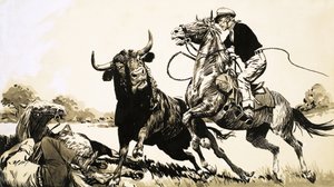 Cowboys in the Australian Outback Try to Rope a Bull by English School