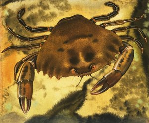 Crab