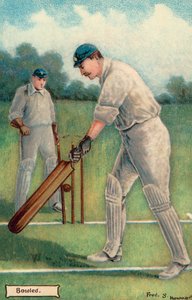 Cricket: Bowled by English School