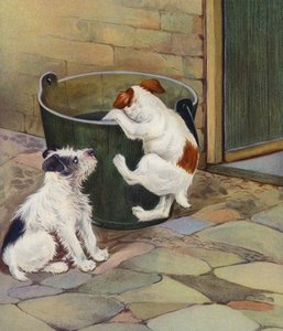 Curiosity