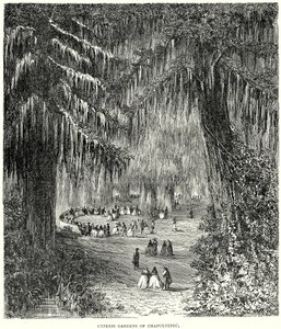 Cypress Gardens of Chapultepec (engraving)