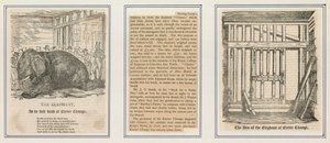 Death of the elephant at Exeter Change by English School