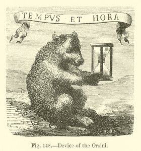 Device of the Orsini