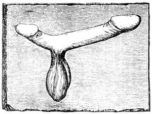 Double phallus from the lintel of a vomitorium (exit passage) at the Nimes amphitheatre