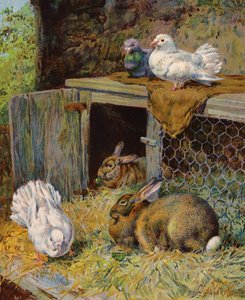 Doves and Rabbits in a Hutch by English School