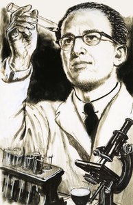 Dr Jonas Salk, Creator of the Polio Vaccine, Looks at a Test Tube