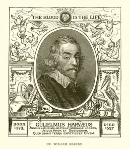 Dr. William Harvey by English School