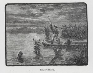 Eel-Spearing by English School
