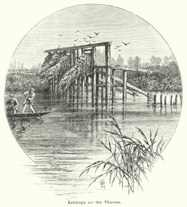 Eel-traps on the Thames by English School