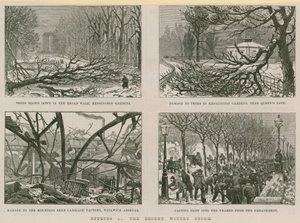 Effects of the Recent Wintry Storm by English School
