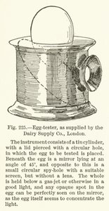 Egg-tester, as supplied by the Dairy Supply Company, London by English School