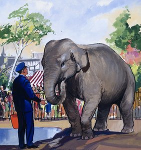 Elephant Keeper by English School