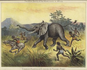 Elephant Hunting with Swords by Hamran Arabs by English School