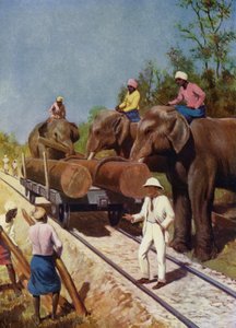 Elephants loading Teak by English School