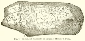 Etching of Mammoth on a Piece of Mammoth Ivory by English School