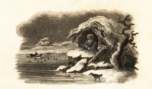 European Water Ouzel Walking into Lake Nantua, France, and Continuing Submerged on the Bottom of the Lake in a Bubble of Air by English School
