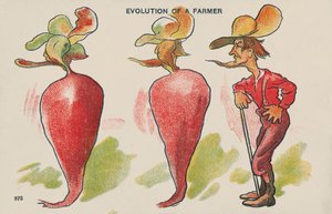 Evolution of a Farmer by English School