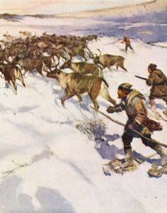 Factor John McLean rounding up a herd of Caribou in Labrador for the Hudson