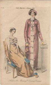 Fashionable Morning and Evening Dress