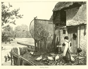 Feeding Ducks by English School