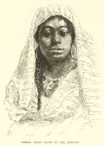 Female Negro slave of Fez, Morocco by English School