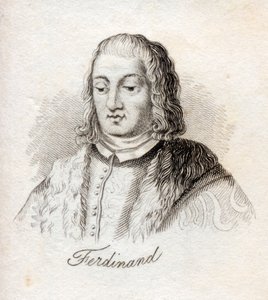 Ferdinand V, King of Castile, from 