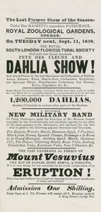 Fête des Fleurs and Dahlia Show by English School
