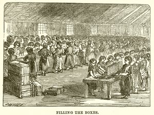 Filling the Boxes by English School