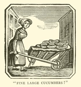 Fine large cucumbers by English School