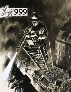 Fireman on ladder