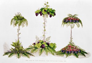 First Prize for Table Decoration, Royal Horticultural Society by English School