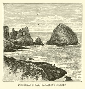 Fisherman