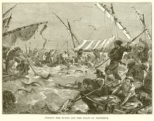 Fishing for Tunny off the Coast of Provence by English School