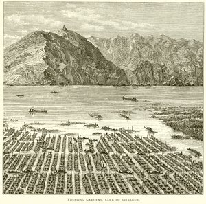Floating Gardens, Lake of Srinagar by English School