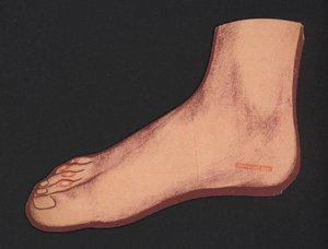 Foot
