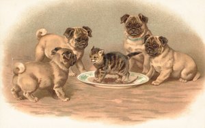 Four Pug Dogs Sitting Around a Kitten on a Plate by English School