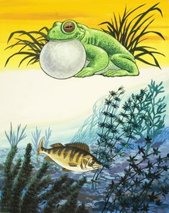 Frog and Fish by English School
