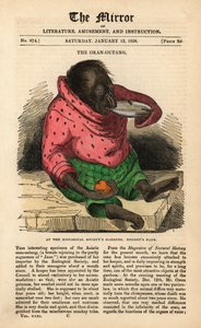 Front page of The Mirror from January 13 1838 celebrating the arrival of an Orangutan at the Zoological Society