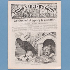 Frontispiece from The Young Fanciers Guide, 1874 by English School