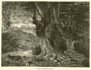 Glade in Burnham Beeches