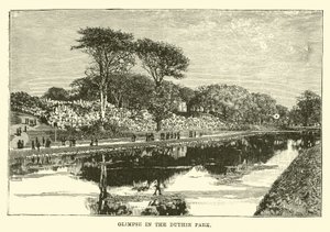 Glimpse in the Duthie Park by English School